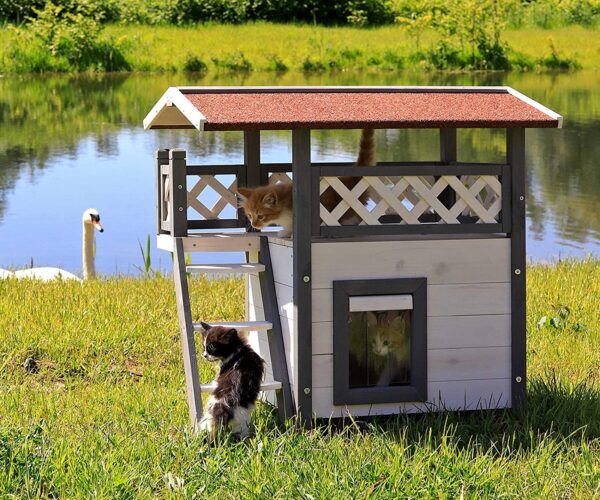 Casetta gatti esterno le migliori 3 recensite