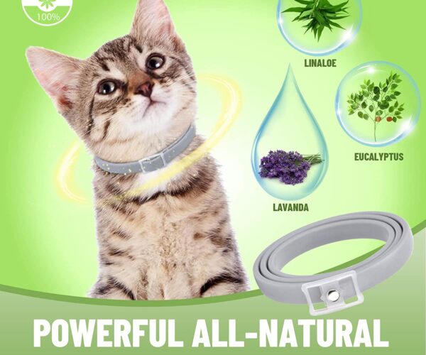Collare gatto antiparassitario