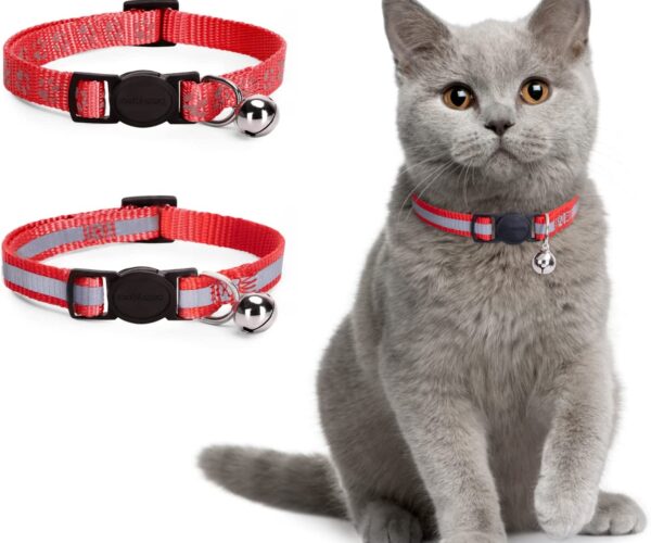 Collare gatto antistrozzo – Le nostre 3 proposte