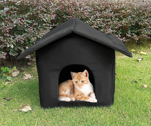 Cuccia da esterno per gatto le 3 proposte irresistibili