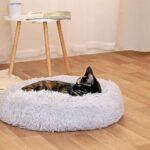 Cuccia pelosa per gatti 3 proposte incredibili