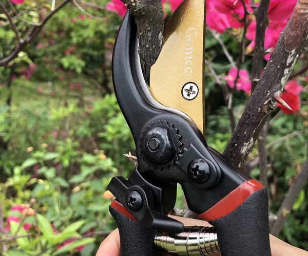 Forbici da potatura professionali le recensioni dei 3 miglior prodotti