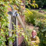 Forbici per potatura telescopiche le nostre 3 recensioni