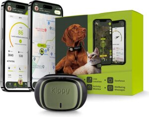 Kippy Evo - Collare GPS per Cani e Gatti con Localizzatore e Rilevatore dell'Attività e dello Stato di Salute