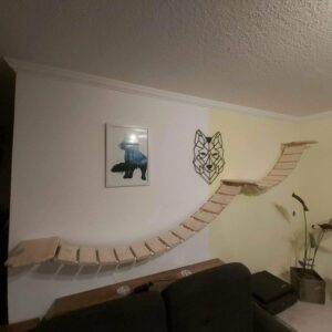 Medikratz Set completo di pareti da arrampicata per gatti; ponte da appendere per gatti di grandi dimensioni