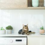 Quale lavatrice comprare? 3 dei migliori modelli sul mercato