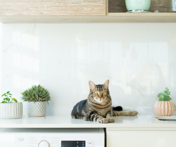 Quale lavatrice comprare? 3 dei migliori modelli sul mercato