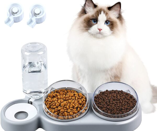 Ciotola gatto rialzata – I migliori 3 prodotti sul mercato