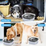 Ciotola per acqua cani – 3 migliori modelli sul mercato