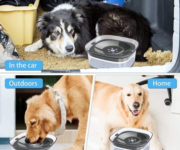 Ciotola per acqua cani – 3 migliori modelli sul mercato