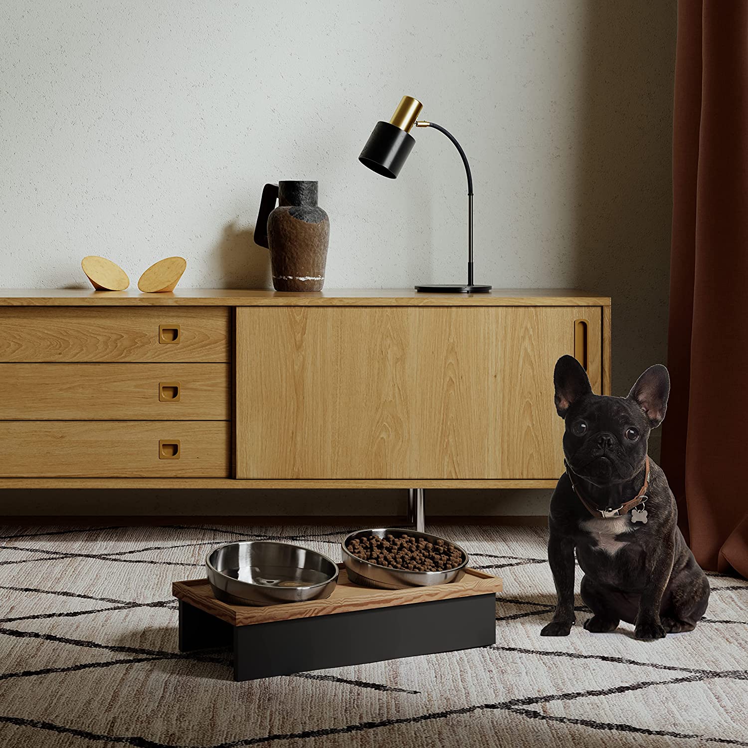 Ciotola per cani rialzata 3 modelli da non perdere