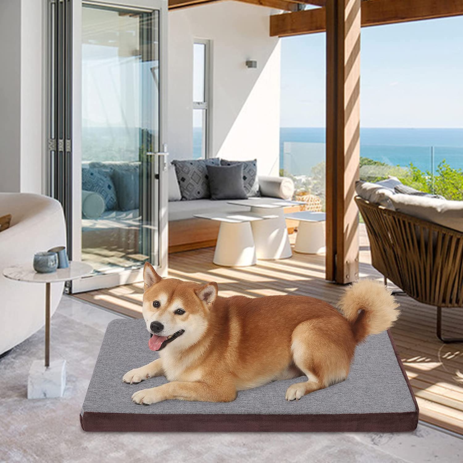 Cuscino per cani sfoderabile | 3 soluzioni per la sua cuccia