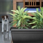 Fioriere da esterno economiche – 3 modelli salva tasche