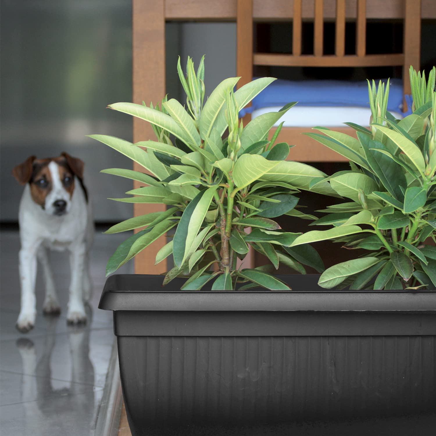 Fioriere da esterno economiche – 3 modelli salva tasche