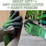 Guanti da giardinaggio | 3 modelli tra cui scegliere