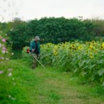 Miglior decespugliatore | 3 modelli tra cui scegliere