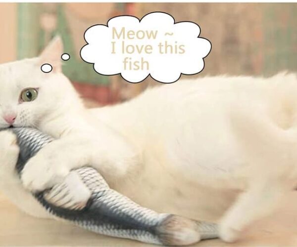 Migliori giocattoli per gatti – 3 recensioni per scegliere